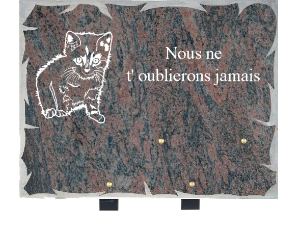 CB5.png